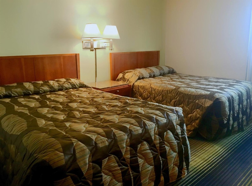 Oasis Inn Main image